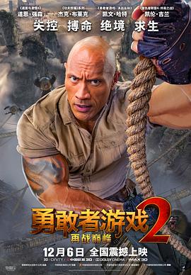 《花儿与少年》主视觉海报